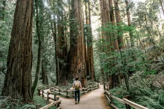 man wearing gray T-shirt standing on forest by Caleb Jones courtesy of Unsplash.