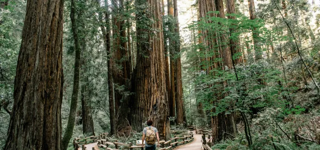 man wearing gray T-shirt standing on forest by Caleb Jones courtesy of Unsplash.